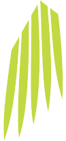 Codina logo